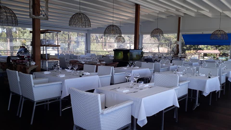 58717942 2864738703750427 3664024664503484416 n